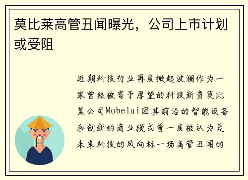 莫比莱高管丑闻曝光，公司上市计划或受阻